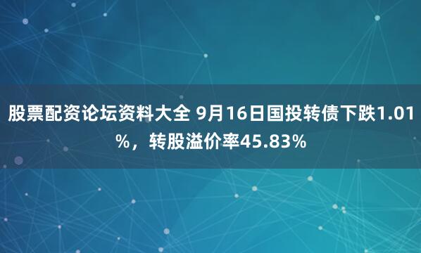 股票配资论坛资料大全 9月16日国投转债下跌1.01%，转股溢价率45.83%